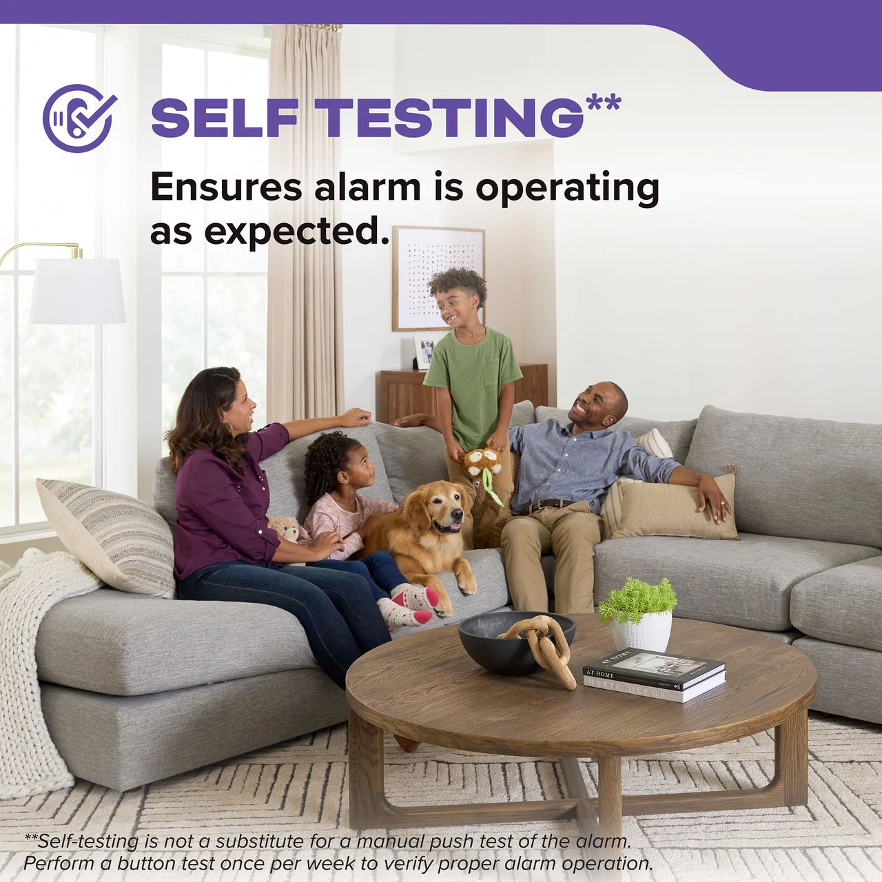 Combo Smoke + CO Alarm, AA Battery Powered image 9